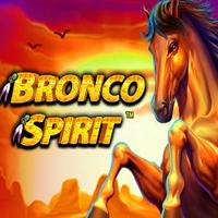 Bronco Spirit