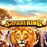 Safari King