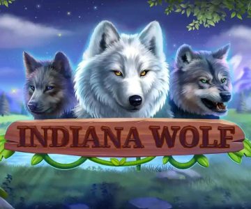 Mengungkap Misteri dan Sejarah Indiana Wolf di Alam Liar